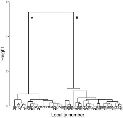 Allometric approach to the two male morphs in the Japanese firefly Luciola parvula